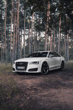 Ormanda beyaz Audi S8 D4. Kherson, Ukrayna - Ağustos 2021.