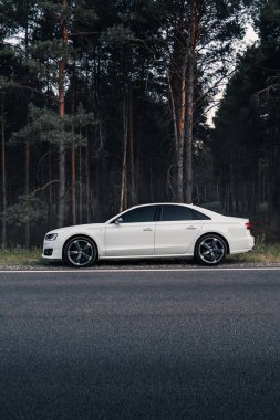 Orman yolunda beyaz Audi S8 D4. Kherson, Ukrayna - Ağustos 2021.