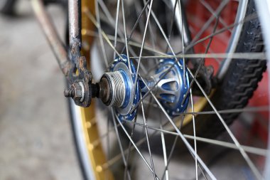 Ekipman Kiralama arka Bisiklet