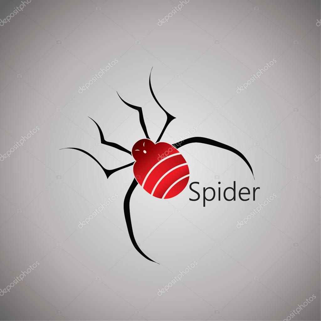 Spider on bacground