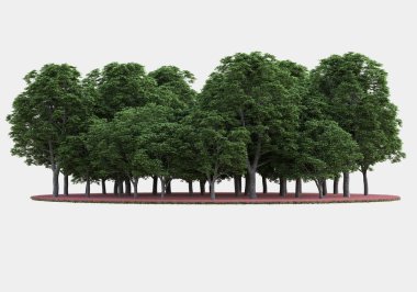 Gri arkaplanda orman manzarası izole edilmiş. 3d görüntüleme - illüstrasyon