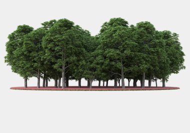 Gri arkaplanda orman manzarası izole edilmiş. 3d görüntüleme - illüstrasyon