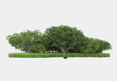 Gri arkaplanda orman manzarası izole edilmiş. 3d görüntüleme - illüstrasyon