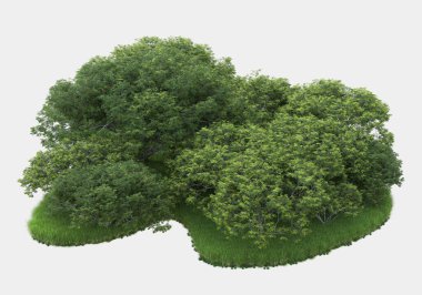 Gri arkaplanda orman manzarası izole edilmiş. 3d görüntüleme - illüstrasyon