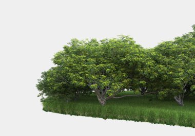 Gri arkaplanda orman manzarası izole edilmiş. 3d görüntüleme - illüstrasyon