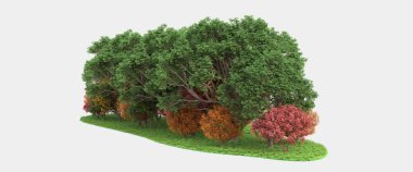 Gri arkaplanda orman manzarası izole edilmiş. 3d görüntüleme - illüstrasyon