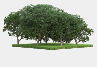Gri arkaplanda orman manzarası izole edilmiş. 3d görüntüleme - illüstrasyon