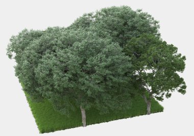 Gri arkaplanda orman manzarası izole edilmiş. 3d görüntüleme - illüstrasyon