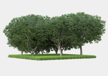 Gri arkaplanda orman manzarası izole edilmiş. 3d görüntüleme - illüstrasyon