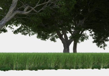 Gri arkaplanda orman manzarası izole edilmiş. 3d görüntüleme - illüstrasyon