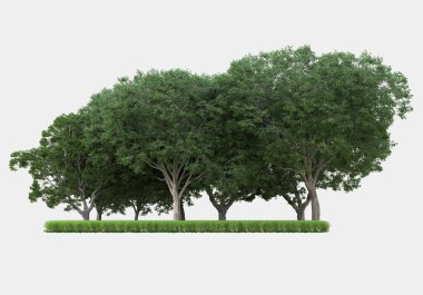 Gri arkaplanda orman manzarası izole edilmiş. 3d görüntüleme - illüstrasyon