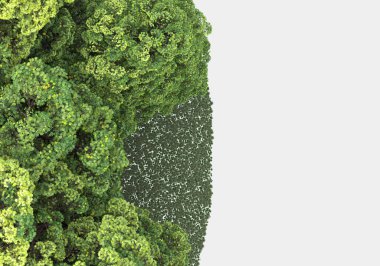 Gri arkaplanda orman manzarası izole edilmiş. 3d görüntüleme - illüstrasyon