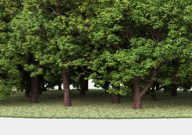 Gri arkaplanda orman manzarası izole edilmiş. 3d görüntüleme - illüstrasyon