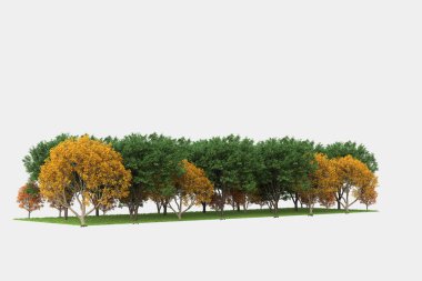 Gri arkaplanda orman manzarası izole edilmiş. 3d görüntüleme - illüstrasyon