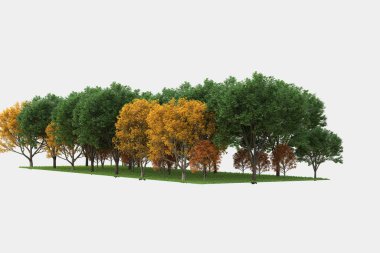 Gri arkaplanda orman manzarası izole edilmiş. 3d görüntüleme - illüstrasyon