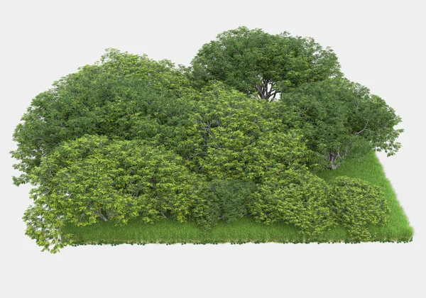 Cena Florestal Isolada Fundo Cinzento Renderização Ilustração — Fotografia de Stock