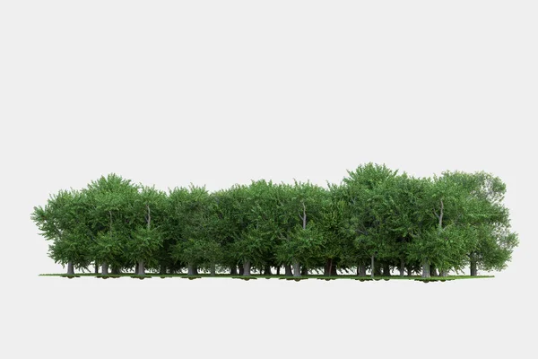 灰色の背景に隔離された森林のシーン 3Dレンダリング イラスト — ストック写真