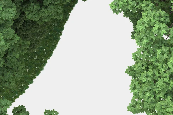 Forest Scene Isolated Grey Background Rendering Illustration — Stock Photo, Image