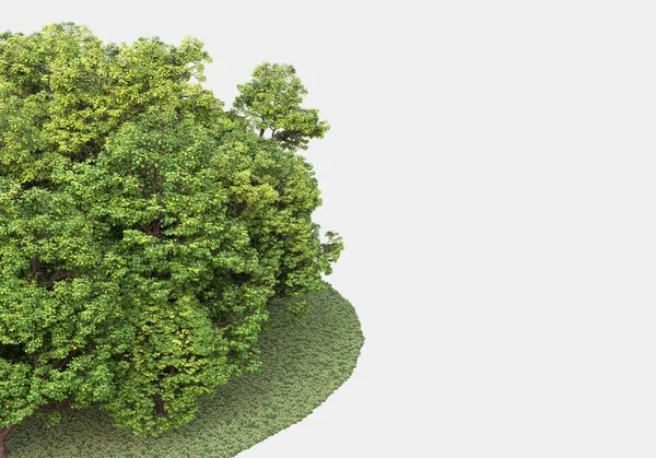 Scena Della Foresta Isolata Sfondo Grigio Rendering Illustrazione — Foto Stock