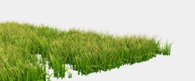 Gri arka planda yaban otları. 3d görüntüleme - illüstrasyon