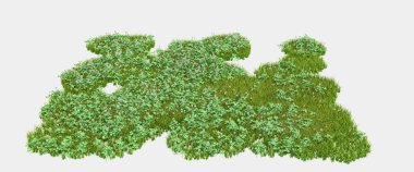 Gri arka planda yaban otları. 3d görüntüleme - illüstrasyon