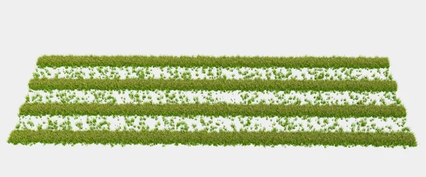 Wild Grass Isolated Grey Background Rendering Illustration — Stock Photo, Image