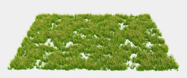 Wild Grass Isolated Grey Background Rendering Illustration — Stock Photo, Image