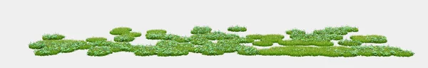 在灰色背景下孤立的野草 3D渲染 — 图库照片