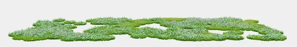 灰色の背景に隔離された野生の草 3Dレンダリング イラスト — ストック写真