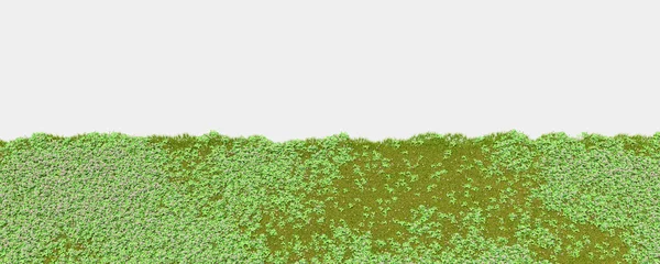 Wildes Gras Vereinzelt Auf Grauem Hintergrund Darstellung Illustration — Stockfoto