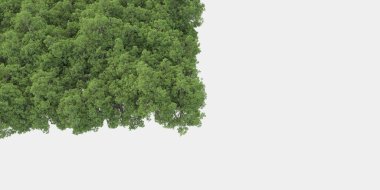 Orman ıssız. Görüntü pankartlar, posterler ya da fotoğraf manipülasyonları için kullanışlı. 3d görüntüleme - illüstrasyon