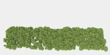 Orman ıssız. Görüntü pankartlar, posterler ya da fotoğraf manipülasyonları için kullanışlı. 3d görüntüleme - illüstrasyon