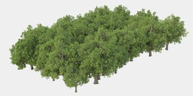 Orman ıssız. Görüntü pankartlar, posterler ya da fotoğraf manipülasyonları için kullanışlı. 3d görüntüleme - illüstrasyon