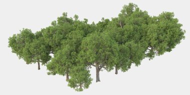 Orman ıssız. Görüntü pankartlar, posterler ya da fotoğraf manipülasyonları için kullanışlı. 3d görüntüleme - illüstrasyon