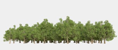 Orman ıssız. Görüntü pankartlar, posterler ya da fotoğraf manipülasyonları için kullanışlı. 3d görüntüleme - illüstrasyon