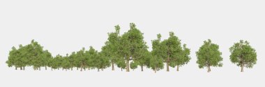 Orman ıssız. Görüntü pankartlar, posterler ya da fotoğraf manipülasyonları için kullanışlı. 3d görüntüleme - illüstrasyon