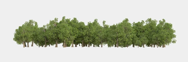 삼림이 고립되었다 배너나 포스터 조작에 이미지 렌더링 — 스톡 사진