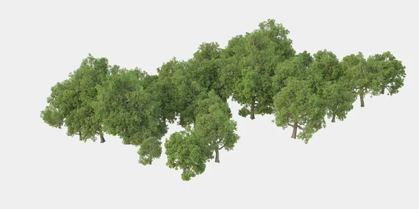 森は孤立してる バナーやポスターや写真操作に便利な画像 3Dレンダリング イラスト — ストック写真