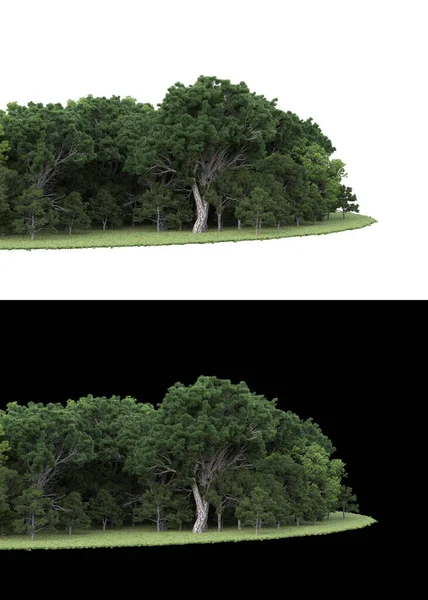 Paisagem Folhagem Para Manipulação Fotos Isolada Fundo Branco Preto Renderização — Fotografia de Stock