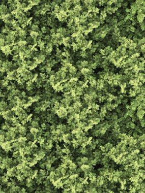 Beyaz ve siyah arkaplanda izole edilmiş fotoğraf manipülasyonu için yeşillik. 3d görüntüleme - illüstrasyon