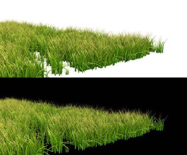 Beyaz ve siyah arkaplanda izole edilmiş fotoğraf manipülasyonu için yeşillik. 3d görüntüleme - illüstrasyon