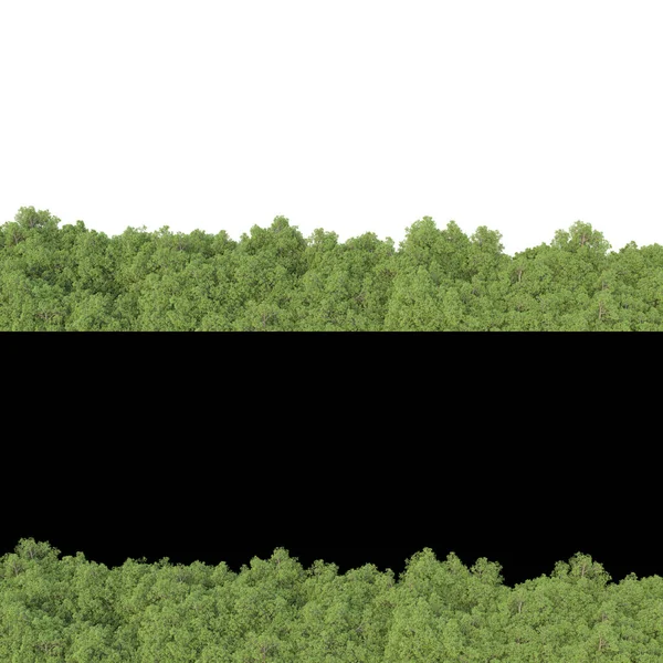 Foliage Landschap Voor Fotomanipulatie Geïsoleerd Witte Zwarte Achtergrond Weergave Illustratie — Stockfoto