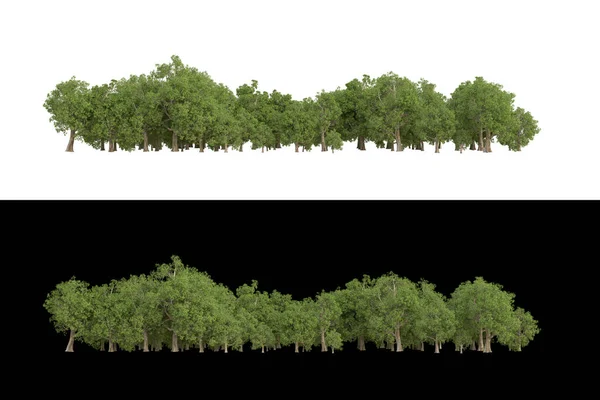 在白色和黑色背景上隔离的用于摄影操作的折叠景观 3D渲染 — 图库照片