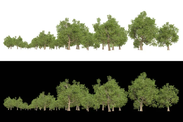 在白色和黑色背景上隔离的用于摄影操作的折叠景观 3D渲染 — 图库照片