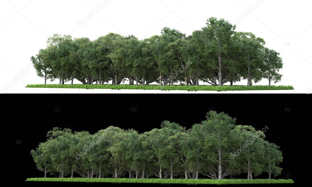 Foliage landscape for photo manipulation isolated on white and black background. 3d rendering - illustration