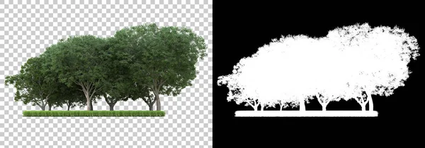 Floresta Selvagem Isolada Fundo Com Máscara Renderização Ilustração — Fotografia de Stock