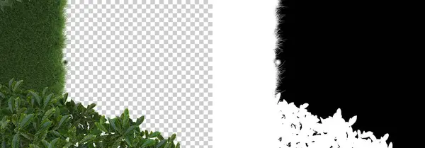 Wild Forest Isolated Background Mask Rendering Illustration — Stock Photo, Image