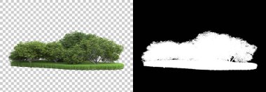 Arka planda maskeyle izole edilmiş vahşi orman. 3d görüntüleme - illüstrasyon