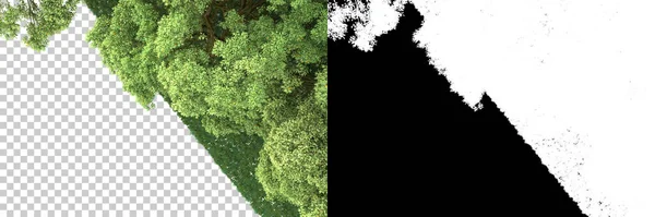 背景上有面具的野生森林 3D渲染 — 图库照片