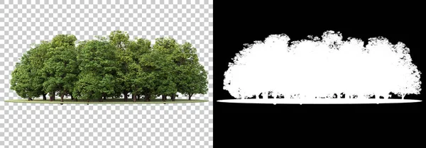 Floresta Selvagem Isolada Fundo Com Máscara Renderização Ilustração — Fotografia de Stock